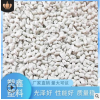 (可開(kāi)專(zhuān)票)特價(jià)PP再生料,二白PP顆粒,廠家直銷(xiāo)二白PP塑料再生顆粒