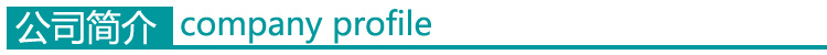 公司簡介