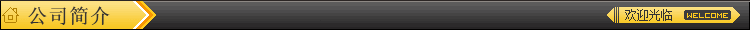 公司簡介