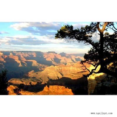 【萬水化工商城】PE薄膜專用2094 防老劑 免費拿樣 防老化劑防黃劑 經(jīng)濟(jì)型 馬蹄蓮