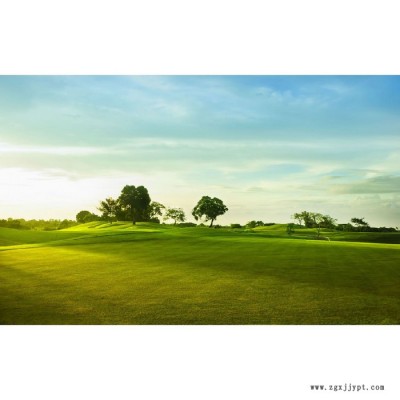 【萬水化工商城】PEX電纜專用3082 防老劑 免費拿樣 防老化劑防黃劑 性價比高型 馬蹄蓮