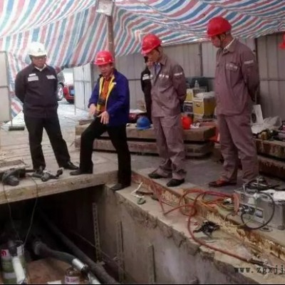 供應(yīng)±110kV絕緣填充劑瓷套終端（ 復合套管）YJZWC4