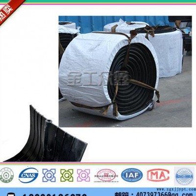 直銷651型橡膠止水帶，中埋橡膠止水帶350*8-20mm