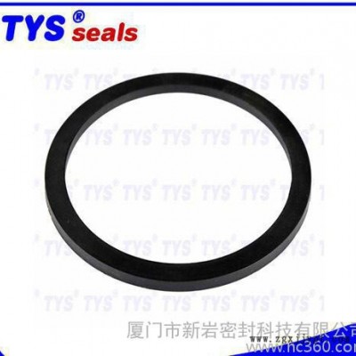 四氟PTFE墊片，BRT支撐擋圈墊片，聚四氟乙烯密封。