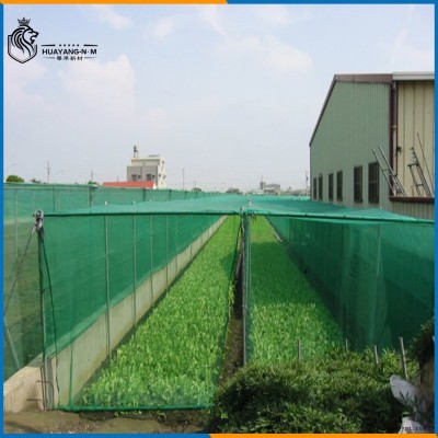 華洋新材料高密度聚乙烯防風(fēng)網(wǎng)防蟲(chóng)網(wǎng)