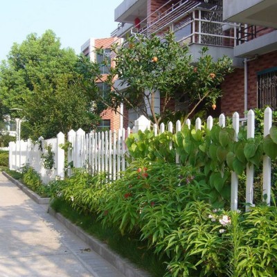 金盈  ** pvc草坪護欄 白色庭院花壇護欄  草坪綠化帶PVC護欄