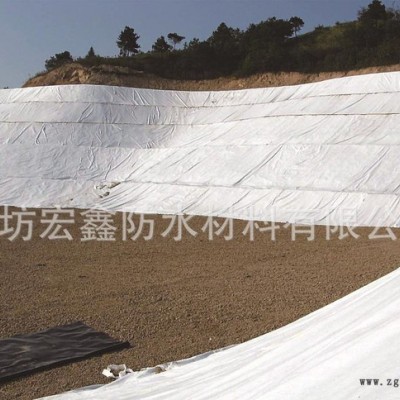 HDPE土工膜 直銷 防水材料采購 歡迎來電咨詢