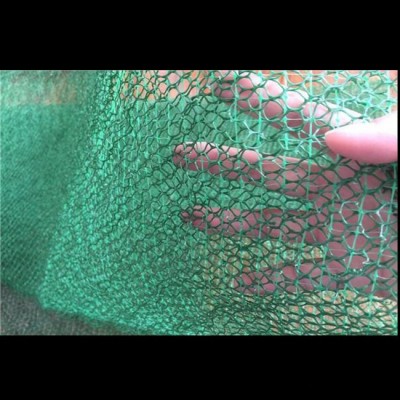 英辰 廠家供應HDPE三維植被網(wǎng)