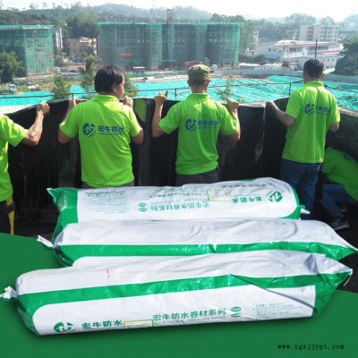 PPE-Z高分子自粘防水卷材