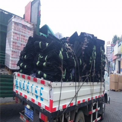 致辰聚酯纖維(PET) 生態(tài)袋  內(nèi)河整治生態(tài)袋   生態(tài)袋價(jià)格