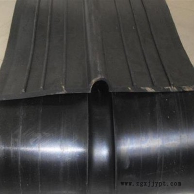 可卸式橡膠止水帶、各種型號(hào)橡膠止水帶-世誠(chéng)水工生產(chǎn)