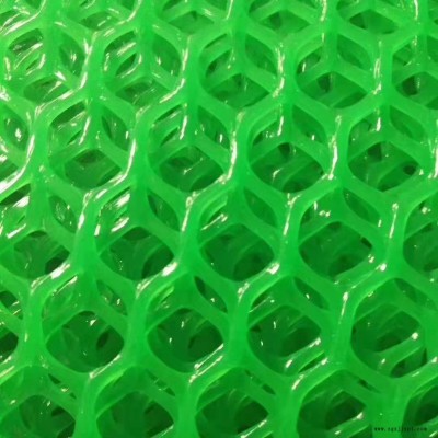 塑料養(yǎng)殖網(wǎng)、新型塑料網(wǎng) 養(yǎng)雞育雛網(wǎng) 養(yǎng)鴨網(wǎng) 塑料平網(wǎng)