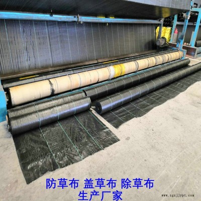 內蒙古PP防草布,果園除草布_蓋草布_抑制雜草生長地布,透氣_透水_防蟲害