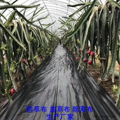 海南PP防草布,果園除草布_蓋草布_抑制雜草生長地布,透氣_透水_防蟲害