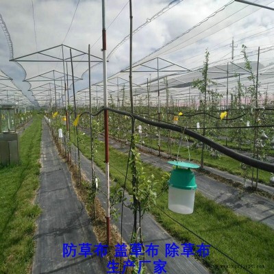 新疆PE防草布,果園除草布_蓋草布_抑制雜草生長地布,透氣_透水_防蟲害