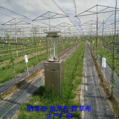 河北PE防草布,果園除草布_蓋草布_抑制雜草生長地布,透氣_透水_防蟲害