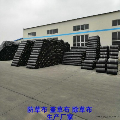 廣西防草布批發(fā),果園除草布_蓋草布_抑制雜草生長地布,透氣_透水_防蟲害