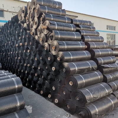 果樹種植防草布 黑色防草布 打孔防草布 pp防草布廠家直供