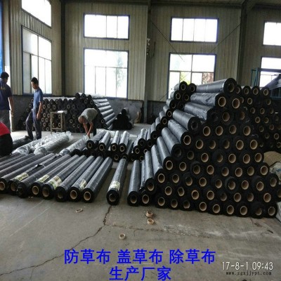 安徽PE防草布,果園除草布_蓋草布_抑制雜草生長地布,透氣_透水_防蟲害