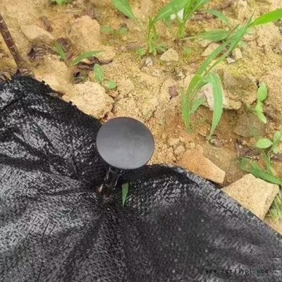 安順 批發(fā)果園防草布 黑色防草布 防草布 價格優(yōu)美 歡迎咨詢