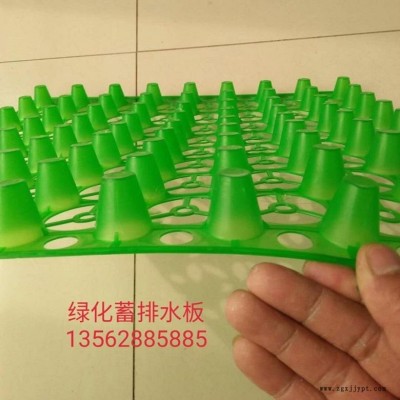 闊展2.5公分加強(qiáng)型蓄排水板 塑料排水板