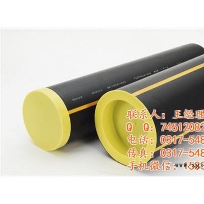 DN200塑料管堵、湖北塑料管堵、臨港興盛