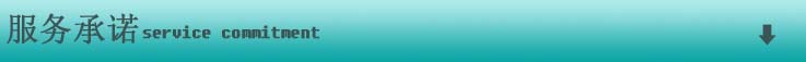服務(wù)承諾