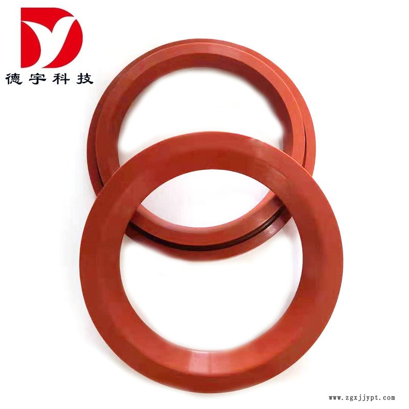 圓頂閥密封圈6_1.jpg