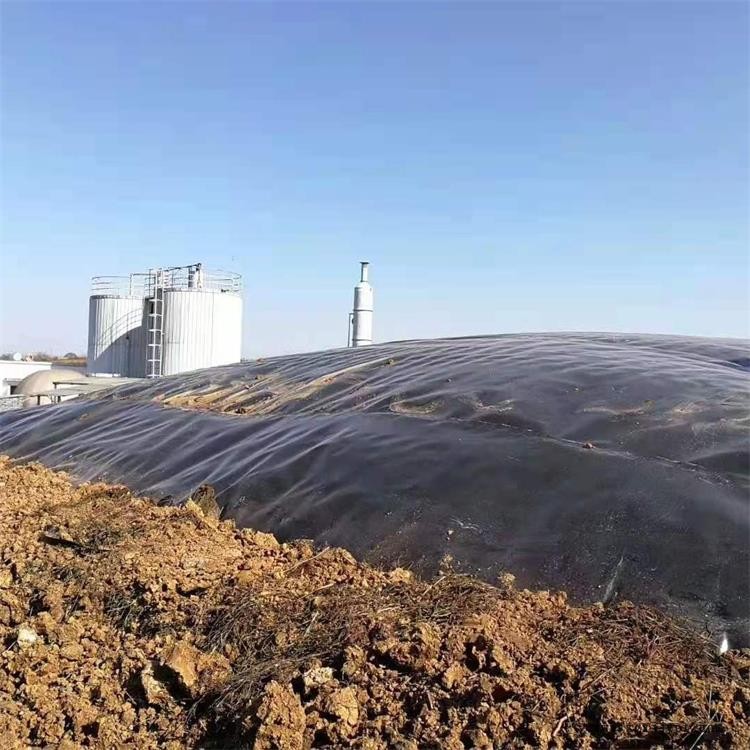 南京HDPE土工膜 藕池hdpe防滲土工膜 價(jià)格