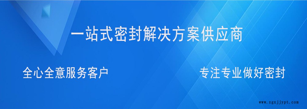 ANDA安達壓電閥點膠機密封圈 AXXON軸心GK高凱壓電噴射閥密封示例圖1