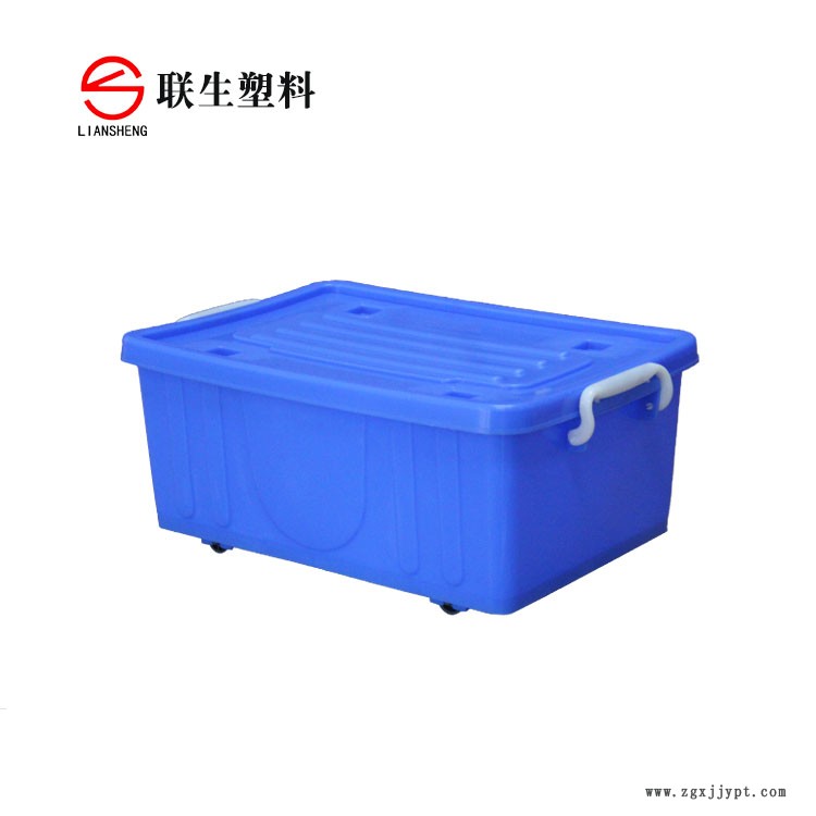 50001821.jpg 正面.jpg