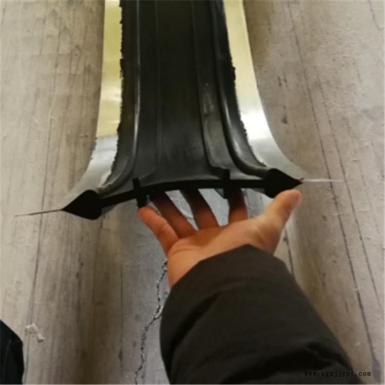 寶晟 廠家批發(fā)中埋式止水帶 橋梁橡膠止水帶 耐磨 耐老化