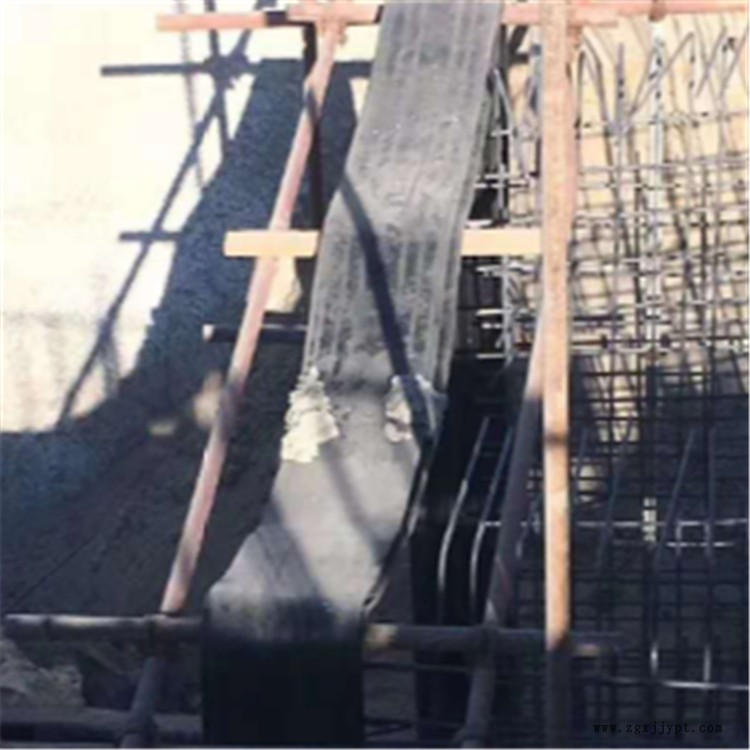 寶晟 長期供應(yīng)中埋式橡膠止水帶 平板橡膠止水帶 支持定制 耐老化