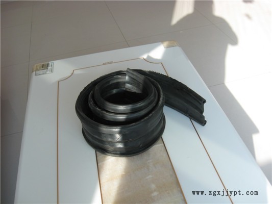 21082169.jpg 1-10012G63416.jpg