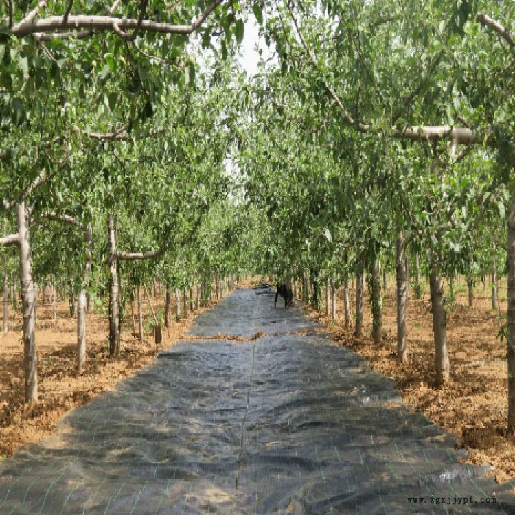 42099639.jpg 24437_meitu_35.jpg