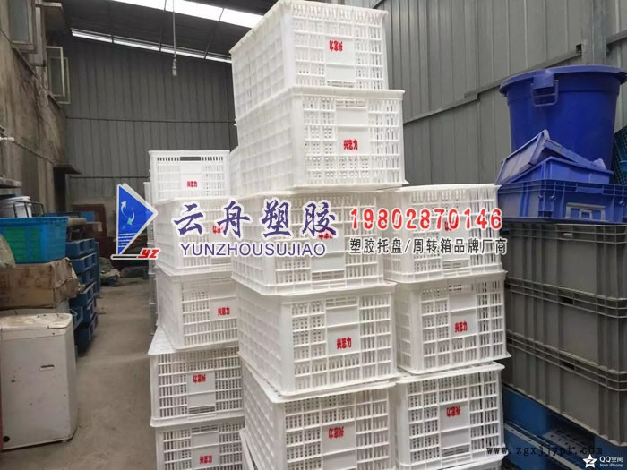 29096290.jpg x16.jpg