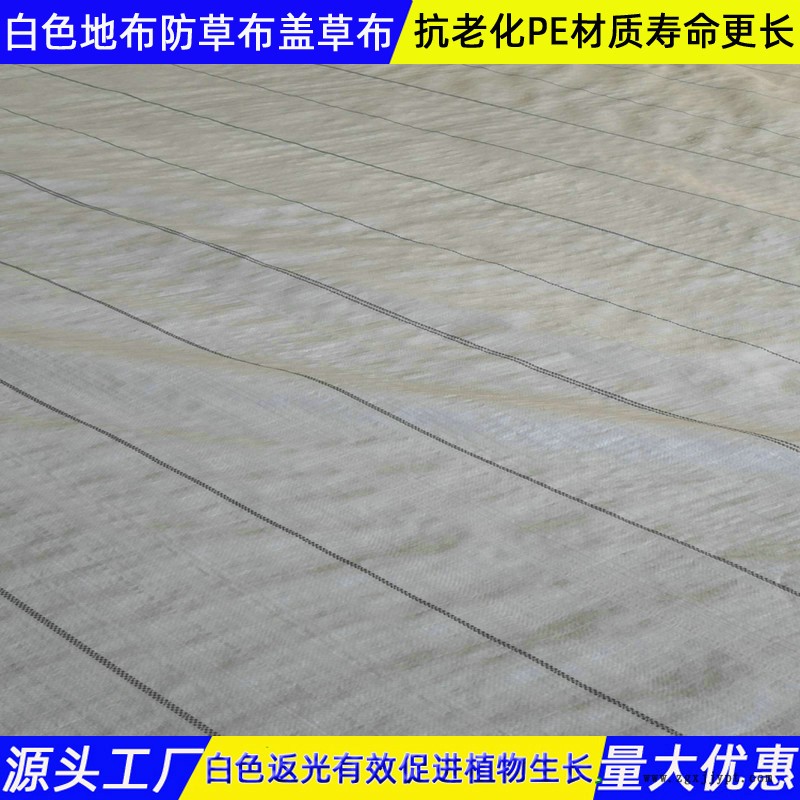 白色防草布青海生產(chǎn)加工