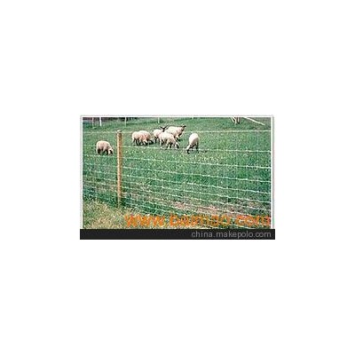 PVC草原網(wǎng)批發(fā)，PVC草原網(wǎng)廠家，PVC草原網(wǎng)加工。