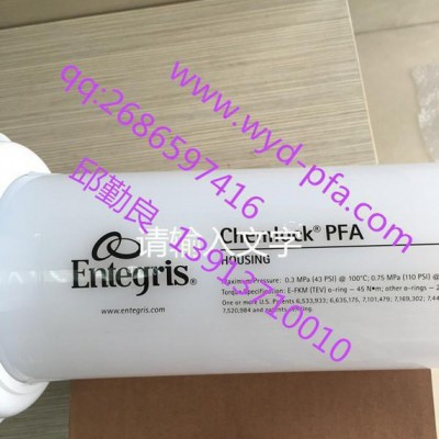 美國Entegris PFA分體式過濾器