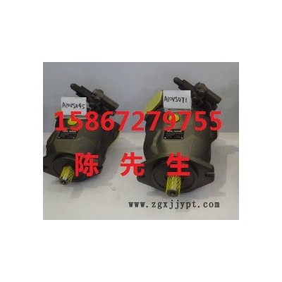 力士樂(lè)A10VSO45DFLR/31R-PPA12N00液壓泵