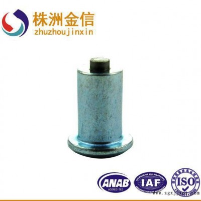 生產高強度高質量抗壓型膨脹螺絲釘雪地防滑釘 輪胎防滑釘