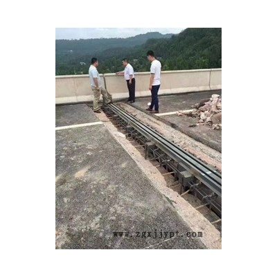 新聞：河南駐馬店MZL伸縮縫廠家—駿鴻集團(tuán)