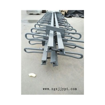 新聞：廣西桂林毛勒伸縮縫廠家現(xiàn)場施工