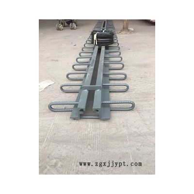 新聞：貴州安順GQF伸縮縫廠家出售