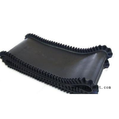 華安公司廠價(jià)直銷(xiāo) B1000mm裙邊輸送帶 橡膠帶