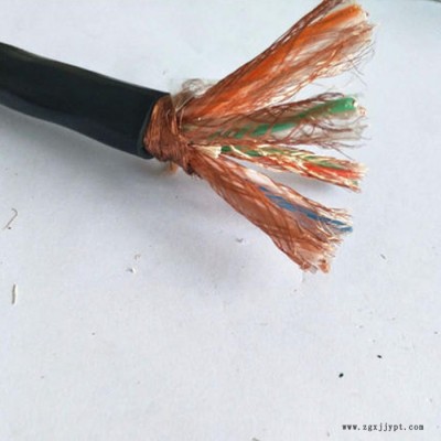 DJYVP3(R)-22 聚乙烯絕緣對(duì)絞組銅線(xiàn)編織總屏蔽聚氯乙烯護(hù)套計(jì)算機(jī)電纜