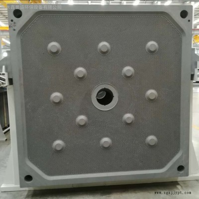 壓濾機濾板 寧夏聚丙烯隔膜壓濾機濾板 耐腐蝕濾板廠家