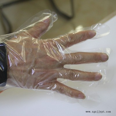 莒縣寶康塑料制品廠(圖)-pe薄膜手套-pe手套