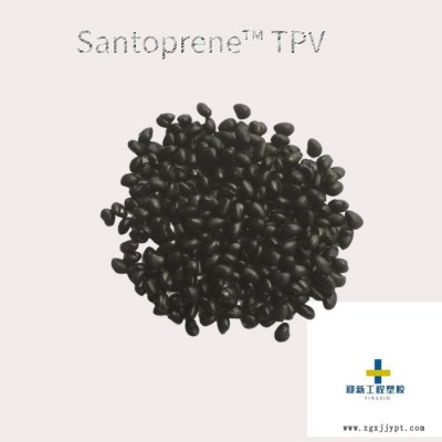 美國(guó)桑托普林121-55W241高物理性 耐紫外線 耐化學(xué)TPV 現(xiàn)貨代理