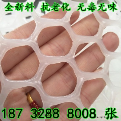 奔宇 廠家生產(chǎn) 供應(yīng) 白色透明 pp pe 塑料網(wǎng) 全新料 抗老化 使用壽命長(zhǎng)